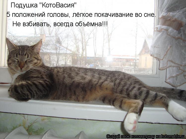 Подушка "КотоВасия" 5 положений головы, лёгкое покачивание во сне. Не взбивать, всегда объёмна!!!... Котоматрица: Подушка "КотоВасия" 5 положений головы, лёгкое покачивание во сне. Не взбивать, всегда объёмна!!!