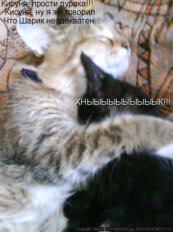 Кисуня, прости дурака!!! ХНЫЫЫЫЫЫЫЫЫЫК!!! Кисуня, ну я же говорил Что Шарик неадекватен...... Котоматрица: Кисуня, прости дурака!!! ХНЫЫЫЫЫЫЫЫЫЫК!!! Кисуня, ну я же говорил Что Шарик неадекватен...