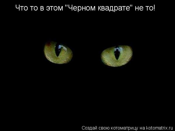 Что то в этом "Черном квадрате" не то!... Котоматрица: Что то в этом "Черном квадрате" не то!