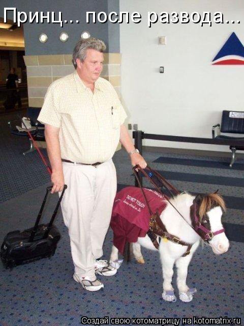 Принц... после развода...... Котоматрица: Принц... после развода...