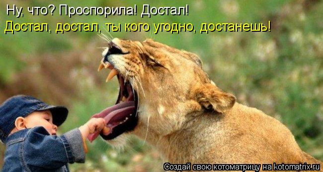 Ну, что? Проспорила! Достал! Достал, достал, ты кого угодно, достанешь!... Котоматрица: Ну, что? Проспорила! Достал! Достал, достал, ты кого угодно, достанешь!