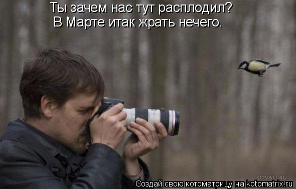 Ты зачем нас тут расплодил? В Марте итак жрать нечего.... Котоматрица: Ты зачем нас тут расплодил? В Марте итак жрать нечего.