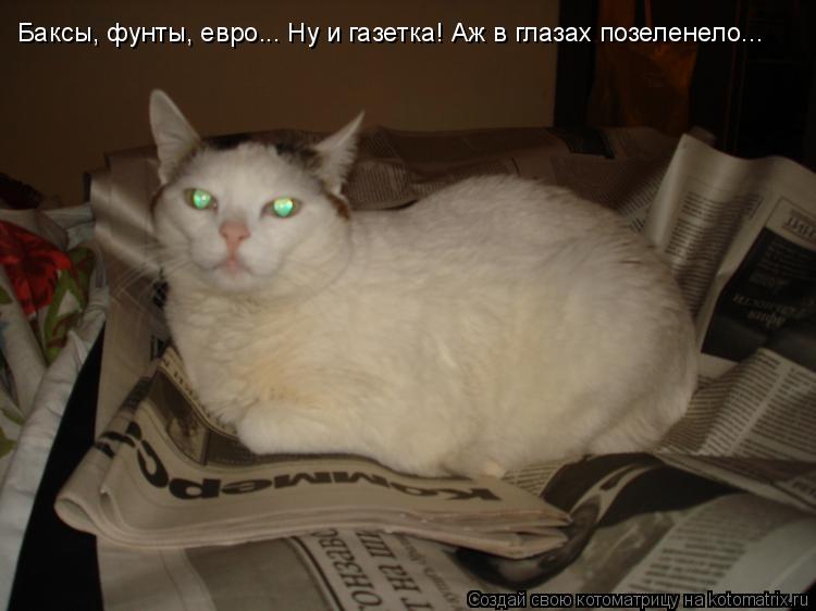 Баксы, фунты, евро... Ну и газетка! Аж в глазах позеленело...... Котоматрица: Баксы, фунты, евро... Ну и газетка! Аж в глазах позеленело...