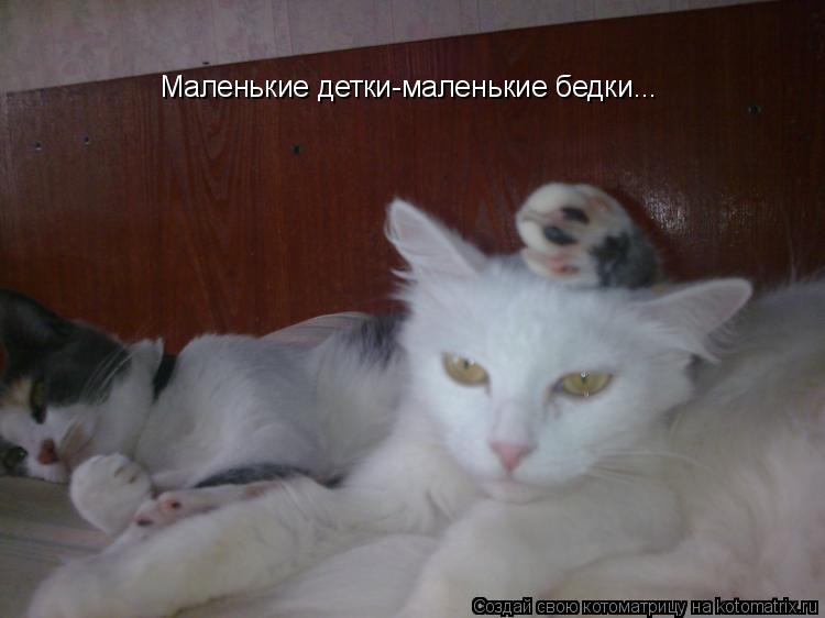 Маленькие детки-маленькие бедки...... Котоматрица: Маленькие детки-маленькие бедки...