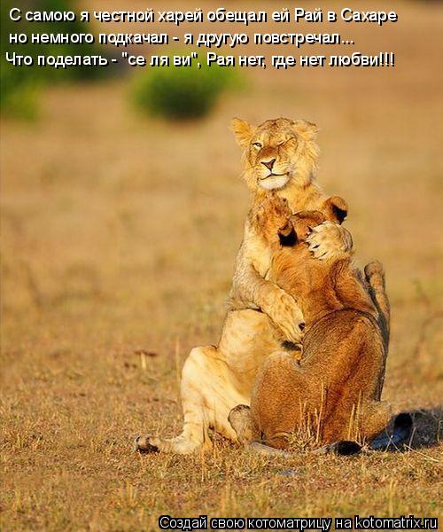 С самою я честной харей обещал ей Рай в Сахаре но немного подкачал - я другую повстречал... Что подел... Котоматрица: С самою я честной харей обещал ей Рай в Сахаре но немного подкачал - я другую повстречал... Что поделать - "се ля ви", Рая нет, где нет любви!!!