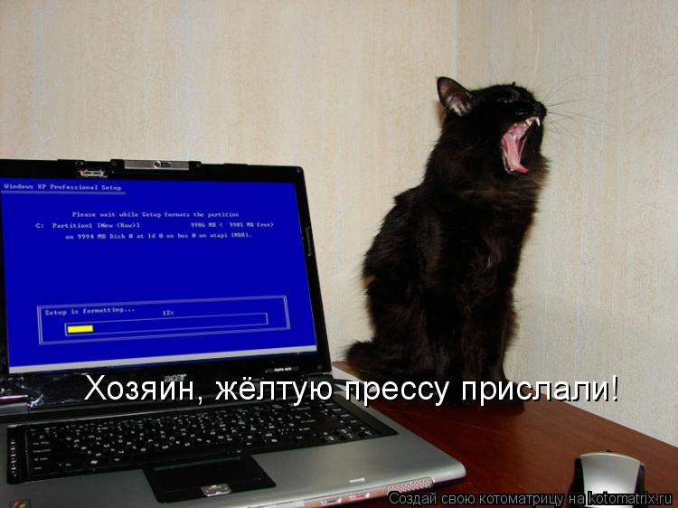 Котоматрица: Хозяин, жёлтую прессу прислали!