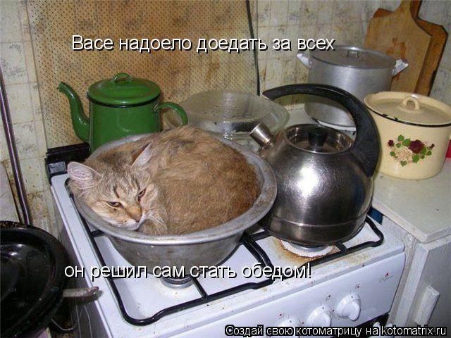 он решил сам стать обедом! Васе надоело доедать за всех... Котоматрица: он решил сам стать обедом! Васе надоело доедать за всех