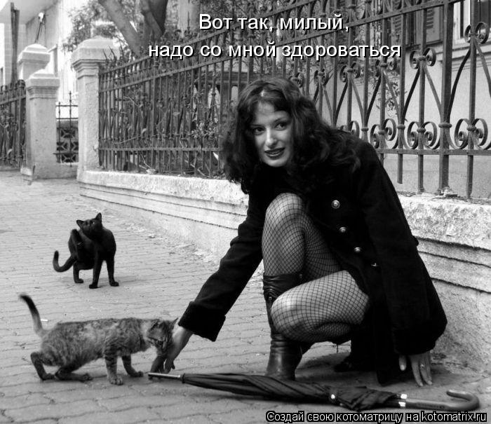 Вот так, милый, надо со мной здороваться... Котоматрица: Вот так, милый, надо со мной здороваться