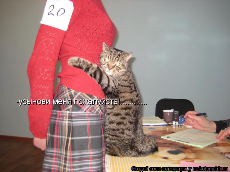 -усынови меня пожалуйста!............... Котоматрица: -усынови меня пожалуйста!............