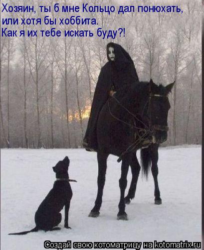 Хозяин, ты б мне Кольцо дал понюхать, или хотя бы хоббита. Как я их тебе искать буду?!... Котоматрица: Хозяин, ты б мне Кольцо дал понюхать, или хотя бы хоббита. Как я их тебе искать буду?!