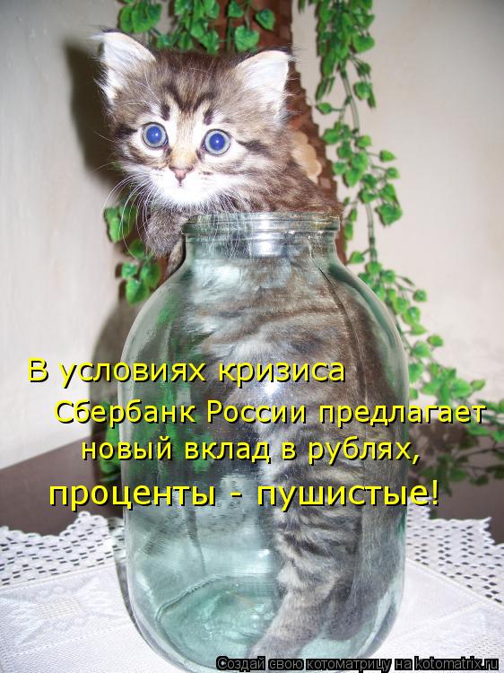 Сбербанк России предлагает В условиях кризиса новый вклад в рублях, проценты - пушистые!... Котоматрица: Сбербанк России предлагает В условиях кризиса новый вклад в рублях, проценты - пушистые!