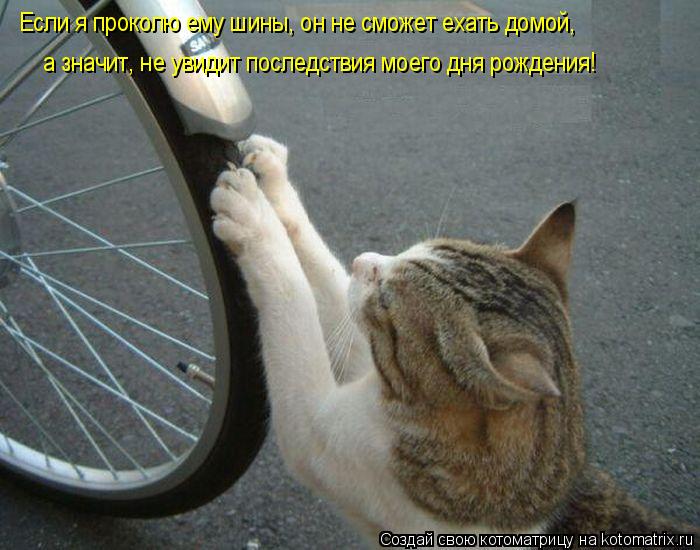 Если я проколю ему шины, он не сможет ехать домой, а значит, не увидит последствия моего дня рождения... Котоматрица: Если я проколю ему шины, он не сможет ехать домой, а значит, не увидит последствия моего дня рождения!