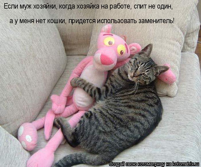 Если муж хозяйки, когда хозяйка на работе, спит не один, а у меня нет кошки, придется использовать за... Котоматрица: Если муж хозяйки, когда хозяйка на работе, спит не один, а у меня нет кошки, придется использовать заменитель!