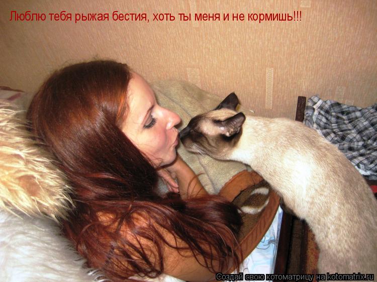 Люблю тебя рыжая бестия, хоть ты меня и не кормишь!!!... Котоматрица: Люблю тебя рыжая бестия, хоть ты меня и не кормишь!!!