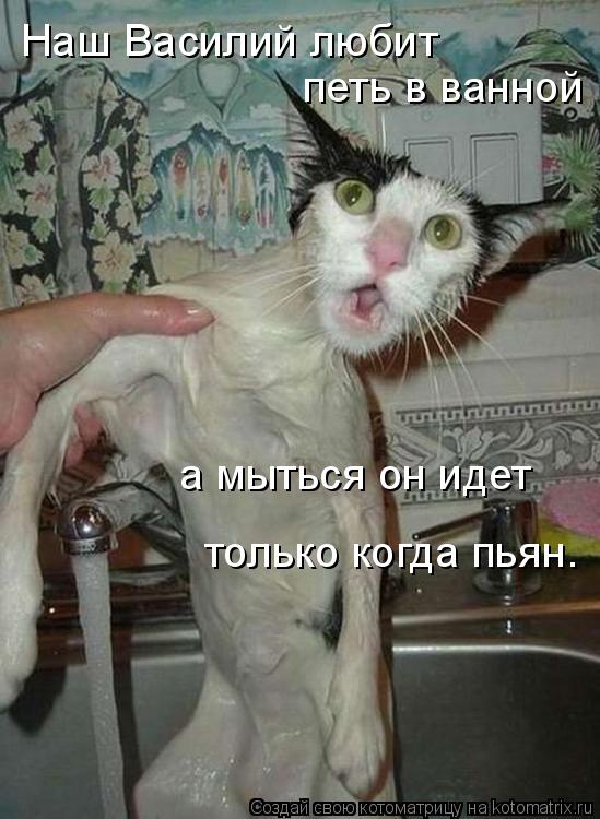 Наш Василий любит петь в ванной а мыться он идет только когда пьян.... Котоматрица: Наш Василий любит петь в ванной а мыться он идет только когда пьян.