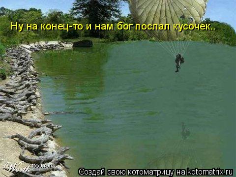 Ну на конец-то и нам бог послал кусочек….... Котоматрица: Ну на конец-то и нам бог послал кусочек….