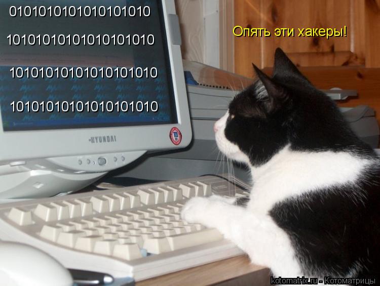 0101010101010101010 10101010101010101010 10101010101010101010 10101010101010101010 Опять эти хакеры!... Котоматрица: 0101010101010101010 10101010101010101010 10101010101010101010 10101010101010101010 Опять эти хакеры!
