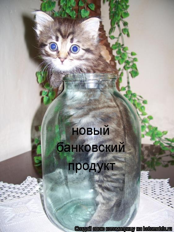 новый банковский продукт новый новый банковский продукт... Котоматрица: новый банковский продукт новый новый банковский продукт