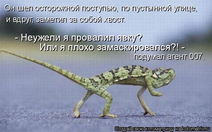 Он шел осторожной поступью, по пустынной улице, и вдруг, заметил за собой хвост. - Неужели я провалил... Котоматрица: Он шел осторожной поступью, по пустынной улице, и вдруг, заметил за собой хвост. - Неужели я провалил явку? Или я плохо замаскировался?! - под