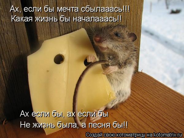Ах, если бы мечта сбылааась!!! Какая жизнь бы началааась!! Ах если бы, ах если бы Не жизнь была, а п... Котоматрица: Ах, если бы мечта сбылааась!!! Какая жизнь бы началааась!! Ах если бы, ах если бы Не жизнь была, а песня бы!!