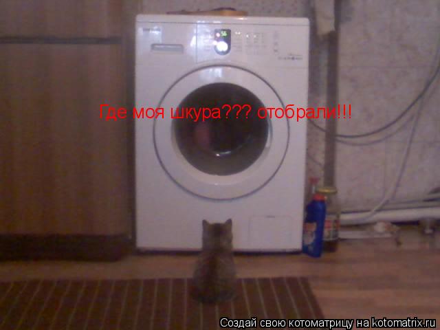 Где моя шкура??? отобрали!!!... Котоматрица: Где моя шкура??? отобрали!!!