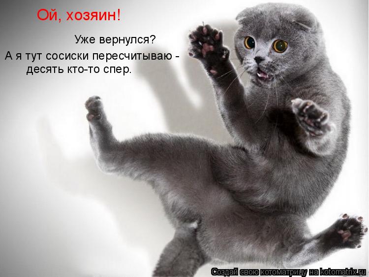 Ой, хозяин! Уже вернулся? А я тут сосиски пересчитываю - десять кто-то спер.... Котоматрица: Ой, хозяин! Уже вернулся? А я тут сосиски пересчитываю - десять кто-то спер.