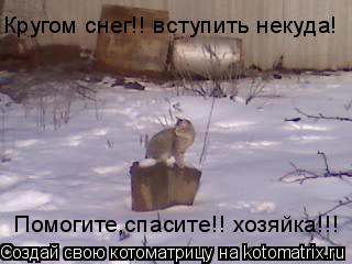 Кругом снег!! вступить некуда! Помогите,спасите!! хозяйка!!!... Котоматрица: Кругом снег!! вступить некуда! Помогите,спасите!! хозяйка!!!