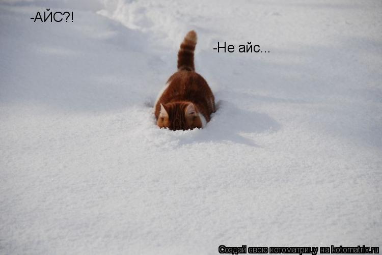 -АЙС?! -Не айс...... Котоматрица: -АЙС?! -Не айс...