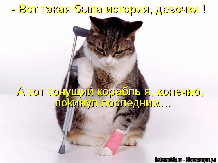 - Вот такая была история, девочки ! А тот тонущий корабль я, конечно, покинул последним...... Котоматрица: - Вот такая была история, девочки ! А тот тонущий корабль я, конечно, покинул последним...