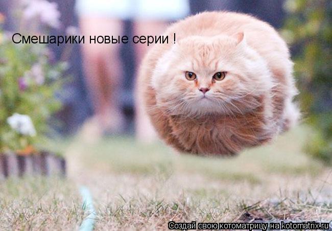 Смешарики новые серии !... Котоматрица: Смешарики новые серии !