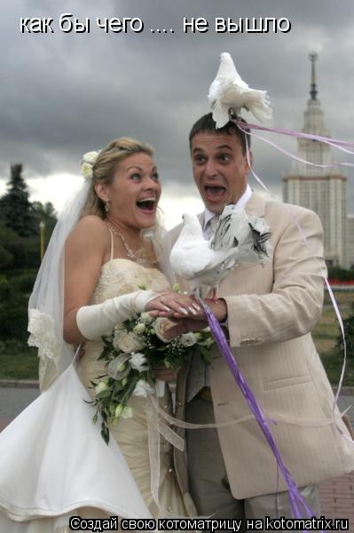 как бы чего .... не вышло... Котоматрица: как бы чего .... не вышло