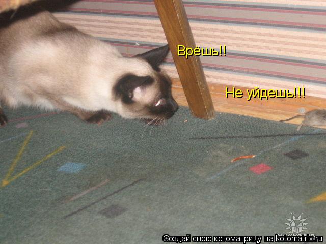 Врёшь!! Не уйдешь!!!... Котоматрица: Врёшь!! Не уйдешь!!!