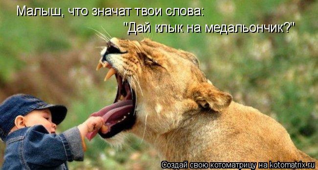 Малыш, что значат твои слова: "Дай клык на медальончик?"... Котоматрица: Малыш, что значат твои слова: "Дай клык на медальончик?"