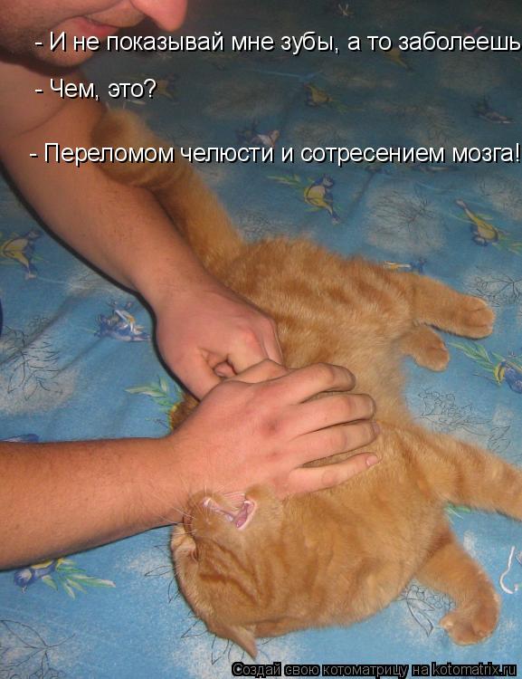 - И не показывай мне зубы, а то заболеешь - Чем, это? - Переломом челюсти и сотресением мозга!... Котоматрица: - И не показывай мне зубы, а то заболеешь - Чем, это? - Переломом челюсти и сотресением мозга!