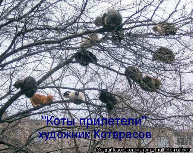 "Коты прилетели" художник Котврасов... Котоматрица: "Коты прилетели" художник Котврасов