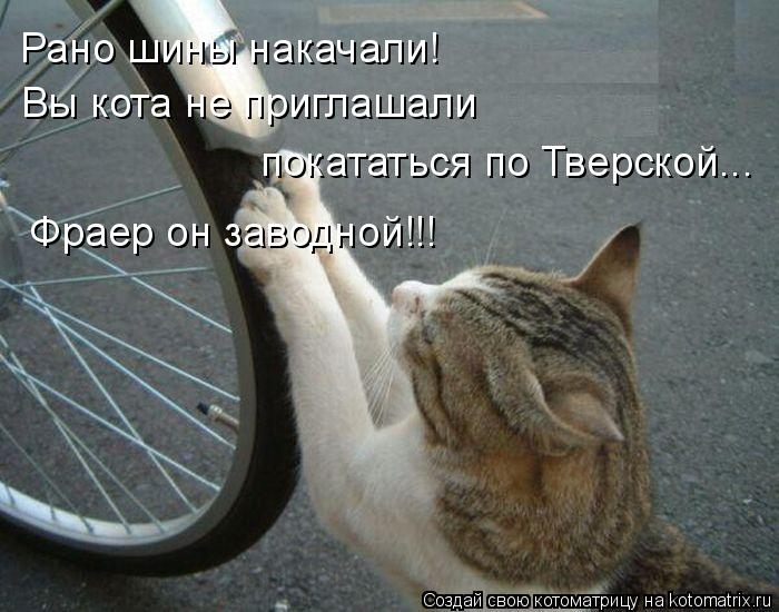 Котоматрица: Рано шины накачали! Вы кота не приглашали покататься по Тверской... Фраер он заводной!!!