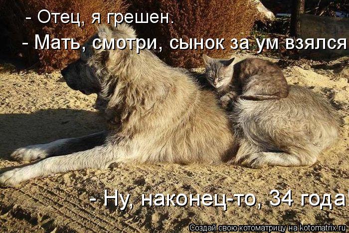 Котоматрица: - Отец, я грешен. - Ну, наконец-то, 34 года!  - Мать, смотри, сынок за ум взялся!