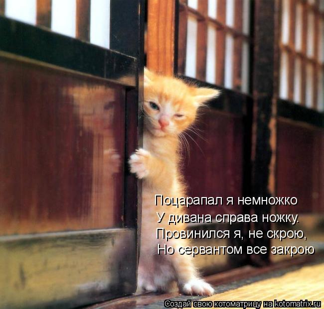 Поцарапал я немножко У дивана справа ножку. Провинился я, не скрою, Но сервантом все закрою... Котоматрица: Поцарапал я немножко У дивана справа ножку. Провинился я, не скрою, Но сервантом все закрою