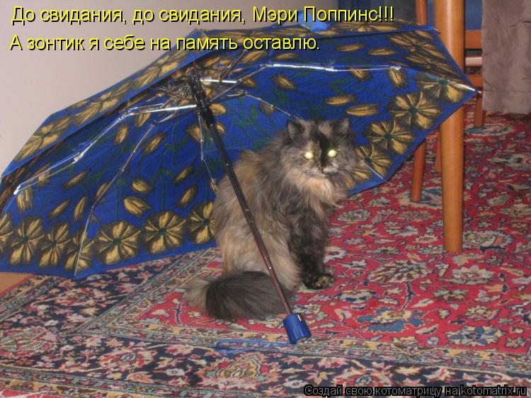 Котоматрица: До свидания, до свидания, Мэри Поппинс!!! А зонтик я себе на память оставлю.