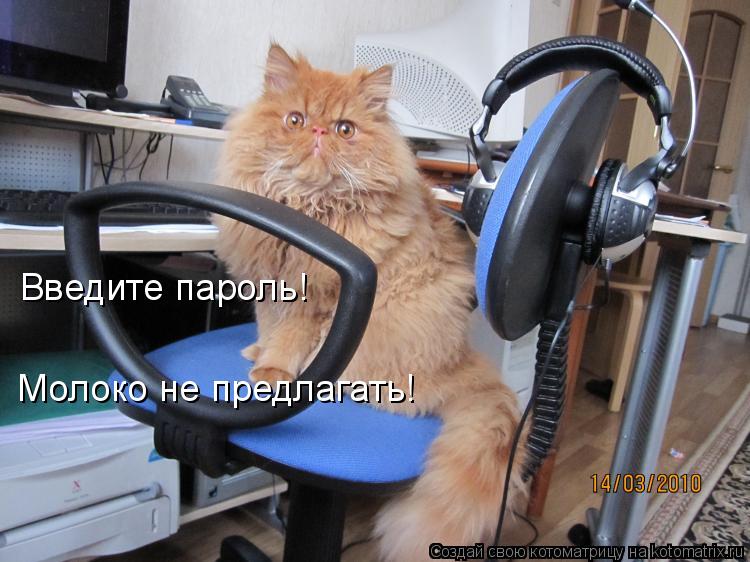 Котоматрица: Введите пароль!  Молоко не предлагать!