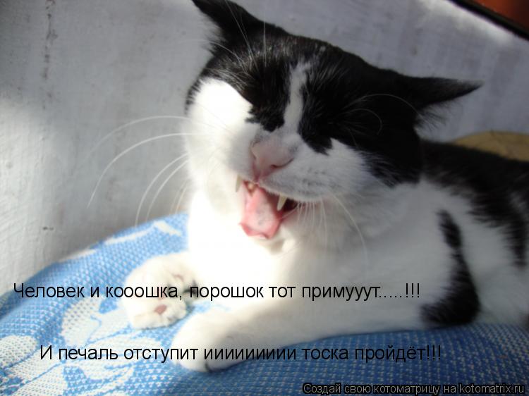 Котоматрица: Человек и кооошка, порошок тот примууут.....!!! И печаль отступит иииииииии тоска пройдёт!!!