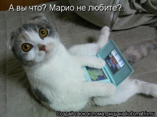 Котоматрица: А вы что? Марио не любите?..