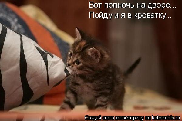 Котоматрица: Вот полночь на дворе... Пойду и я в кроватку...