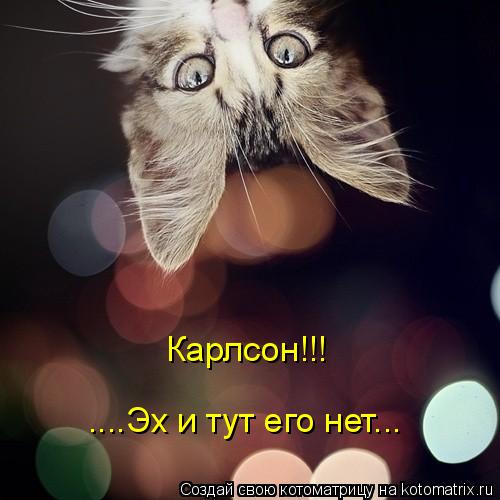 Котоматрица: Карлсон!!! ....Эх и тут его нет...
