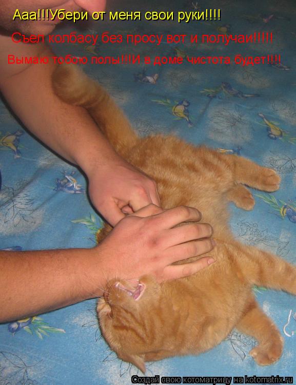 Котоматрица: Ааа!!!Убери от меня свои руки!!!! Съел колбасу без просу вот и получаи!!!!! Вымаю тобою полы!!!И в доме чистота будет!!!!