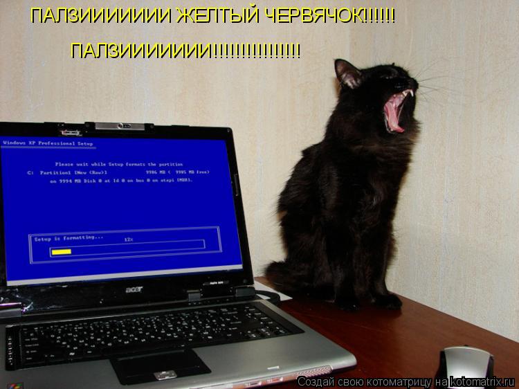 Котоматрица: ПАЛЗИИИИИИИ ЖЕЛТЫЙ ЧЕРВЯЧОК!!!!!! ПАЛЗИИИИИИИ!!!!!!!!!!!!!!!!
