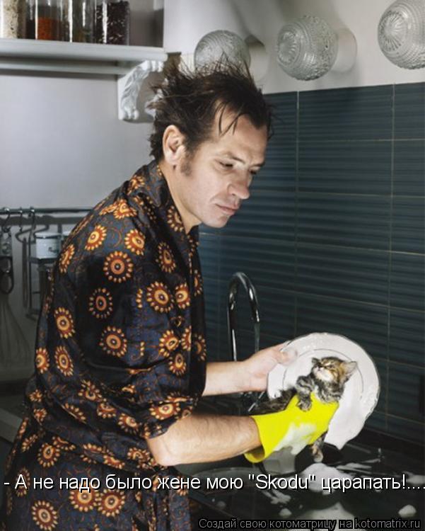 Котоматрица: - А не надо было жене мою "Skodu" царапать!....