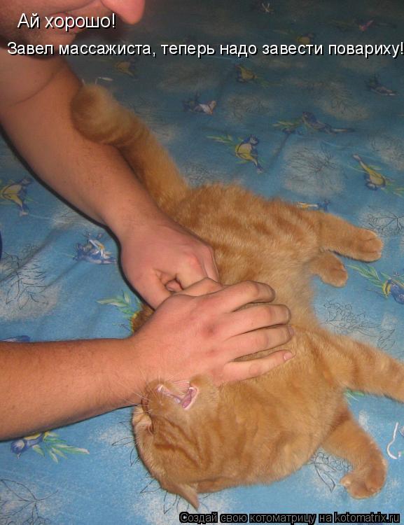 Котоматрица: Ай хорошо! Завел массажиста, теперь надо завести повариху!