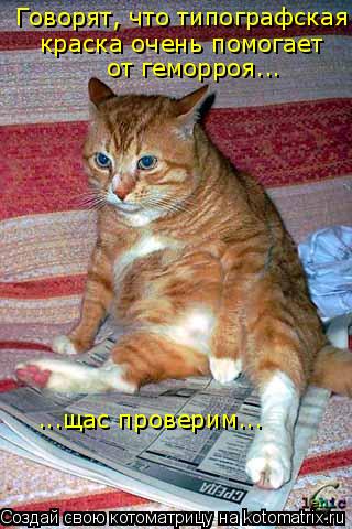 Котоматрица: Говорят, что типографская краска очень помогает  от геморроя... ...щас проверим...