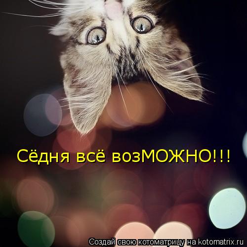 Сёдня всё возМОЖНО!!!... Котоматрица: Сёдня всё возМОЖНО!!!